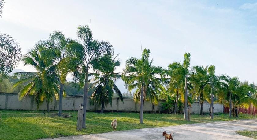 The An Ant บ้านพักโฮมสเตย์ Hotel in Prachuap Khiri Khan, Thailand