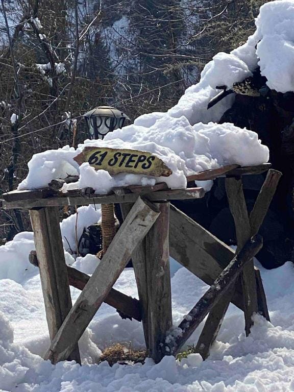 An offbeat Hilltop Homestay - 61 Steps Manali Vacation rental in Manali
