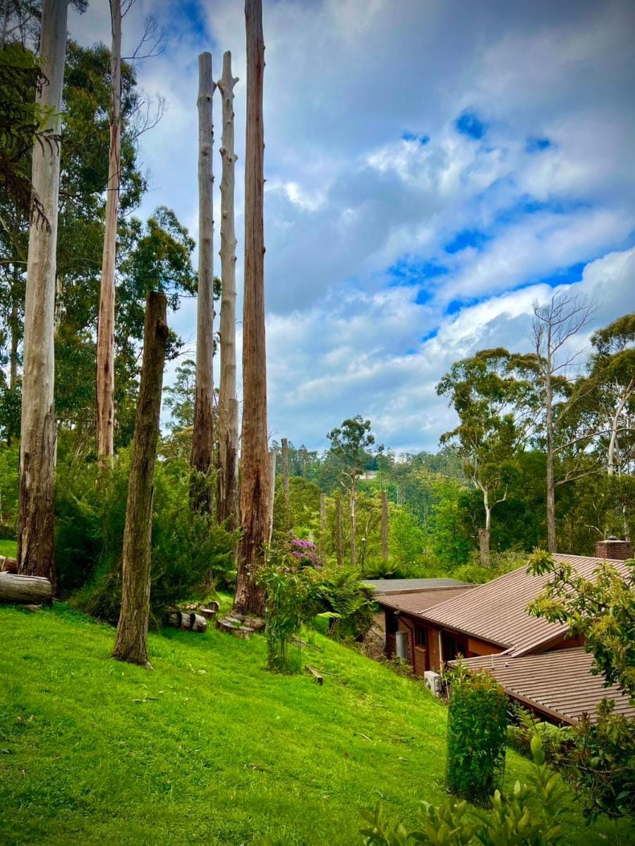 Melbourne Topview Villa in Dandenong ranges near Skyhigh Villa in Mount Dandenong
