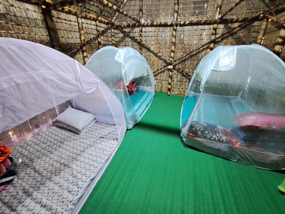 Laisoi farm. Vacation rental in India