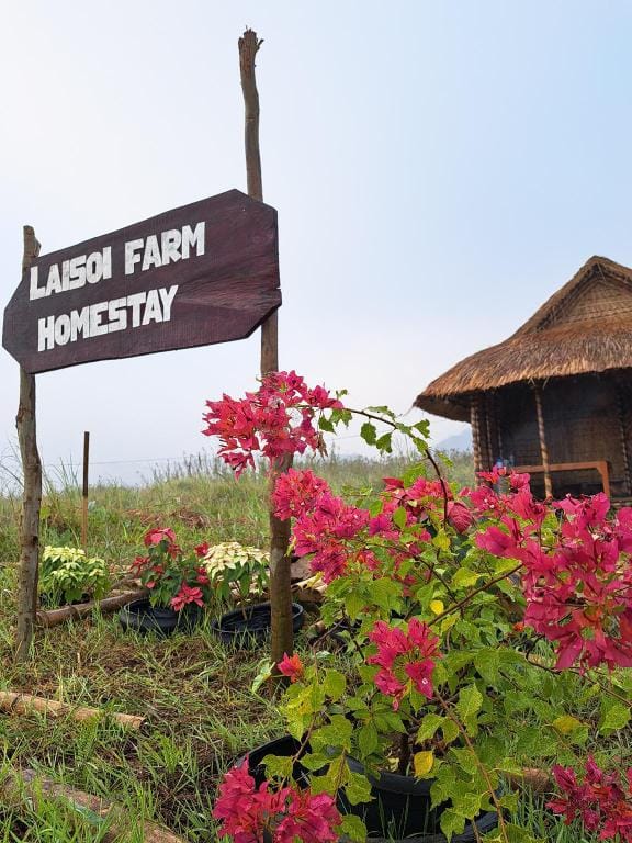 Laisoi farm. Vacation rental in India