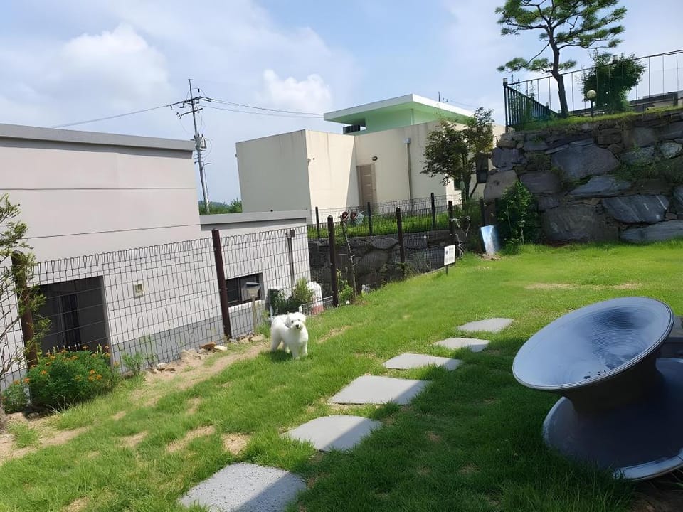 Jjongi and Mary Pet Friendly Pension Bed and Breakfast in Gyeonggi-do