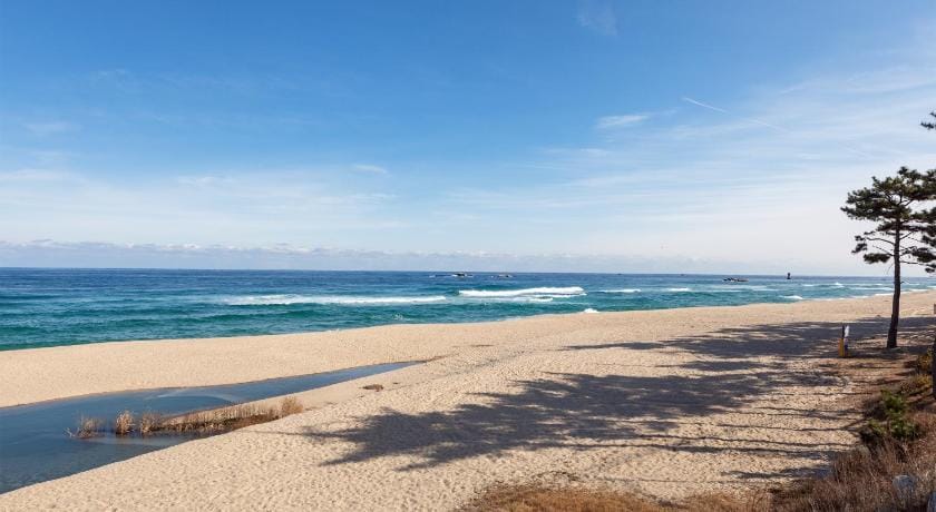 Gangneung 1012 Pension Bed and Breakfast in South Korea