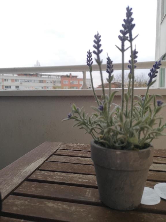 DE LUXE GREAT AND STYLISH APARTMENT! AMAZING LOC.. Apartment in Federation of Bosnia and Herzegovina
