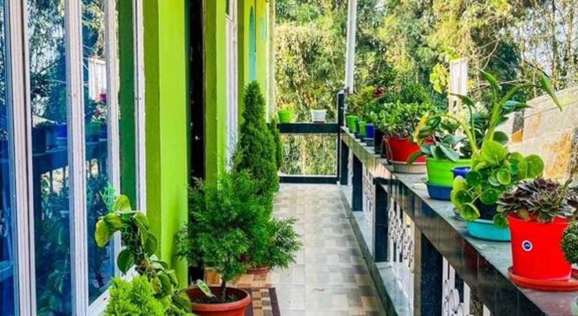 MIRIK HOMESTAY  Vacation rental in West Bengal