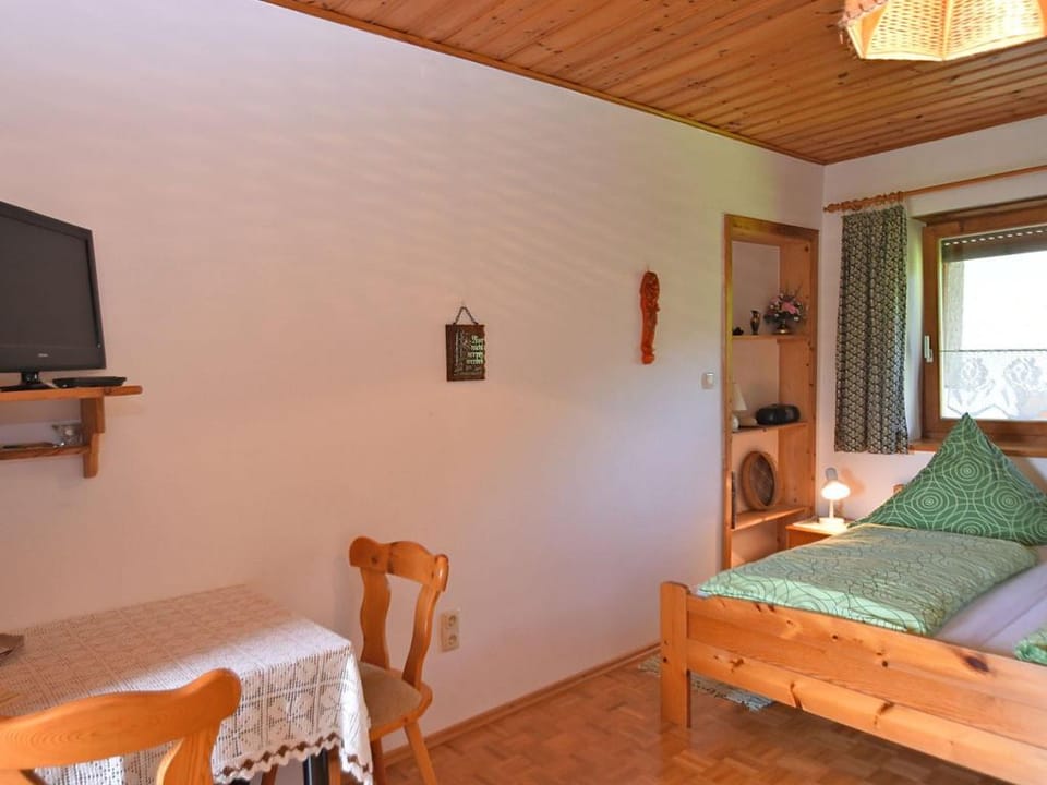 Wohnung in Sonnen nahe Skiliften Apartment in South Bohemian Region