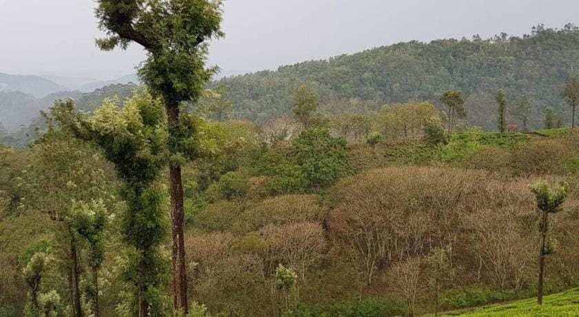 The Solitude - Home Stay Vacation rental in Kerala