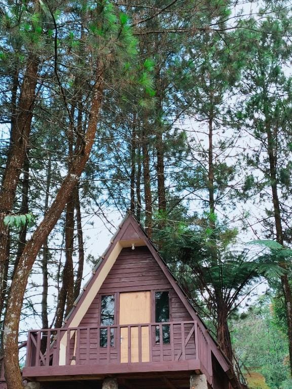 Bukit Pinus Paseban Camp  Villa in Cisarua