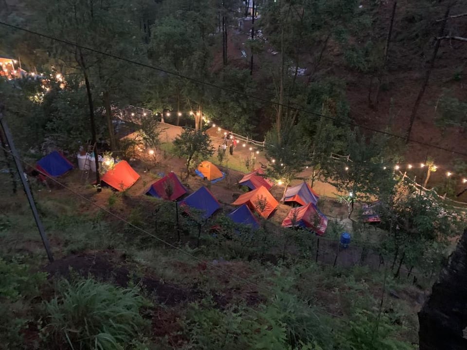 Pine trails jungle camp Hotel in Himachal Pradesh