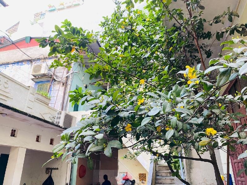 Love & Peace Homestay Tôn Thất Tùng- Đống Đa Vacation rental in Hanoi