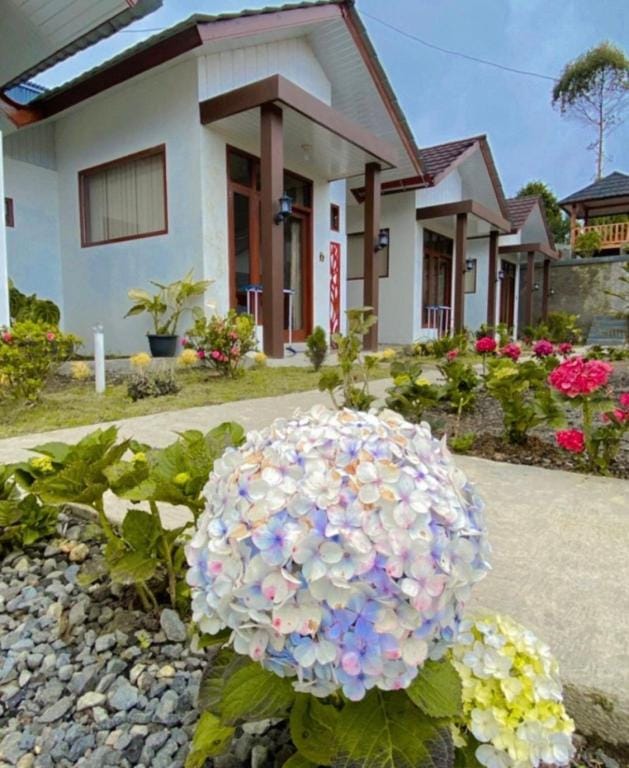 Madinna villa dieng Villa in Indonesia