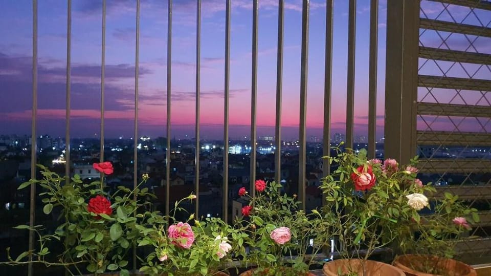Studio toa can ho 5* S-Premium, Sky Oasis, Ecopark Apartment in Laos