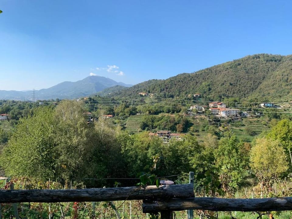 Chalet immerso nella natura Vacation rental in Lombardy