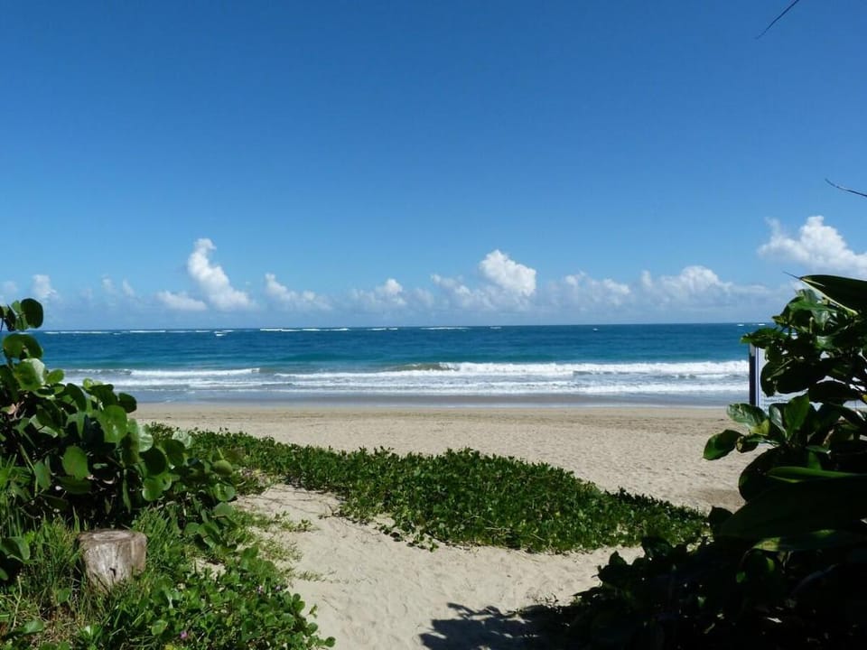 Charming ocean front 3 bd villa Vacation rental in Cabarete