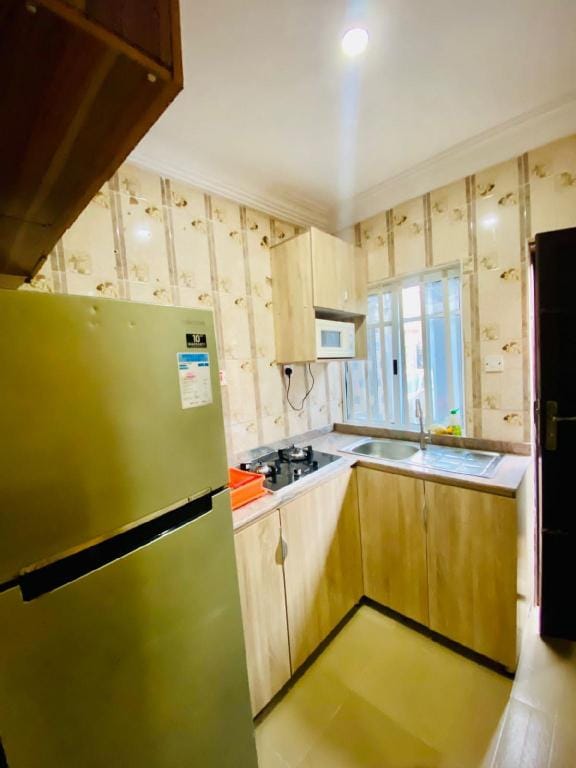 Custom Built 2 Bedroom Apartment Apartment in Lagos
