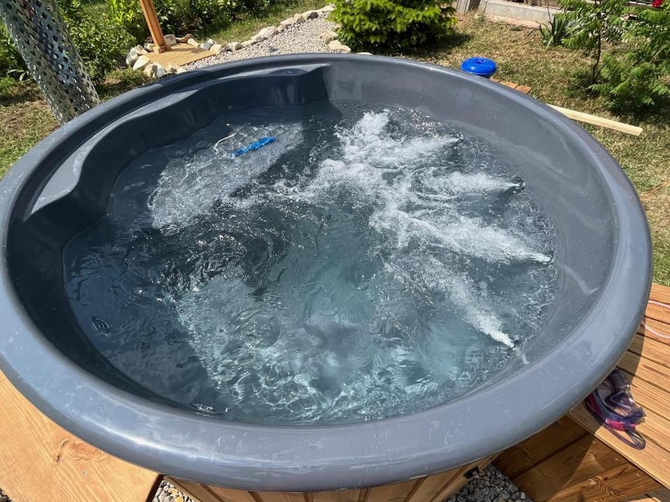 Zelený grunt Bed and Breakfast in Saxony