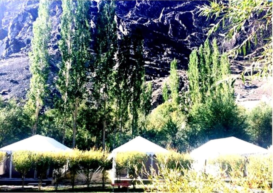 Desert Oasis Camp Campground/ 
RV Resort in India