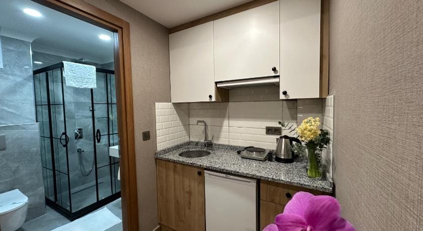 H&L Suites Hotel in Istanbul