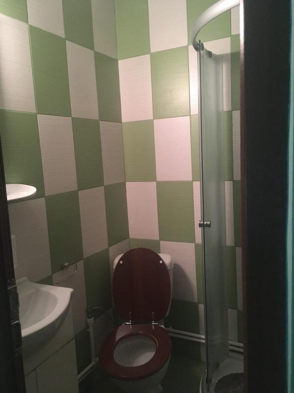 Pensiune Isaccea Souvenir Vacation rental in Odessa Oblast
