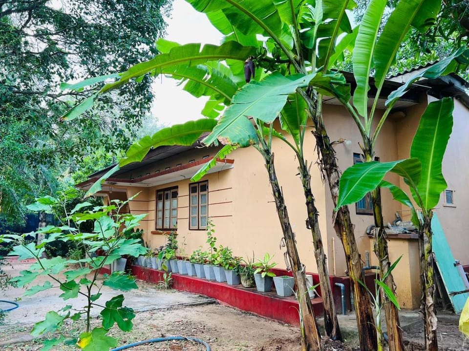 Jaffna Garden Vacation rental in Sri Lanka
