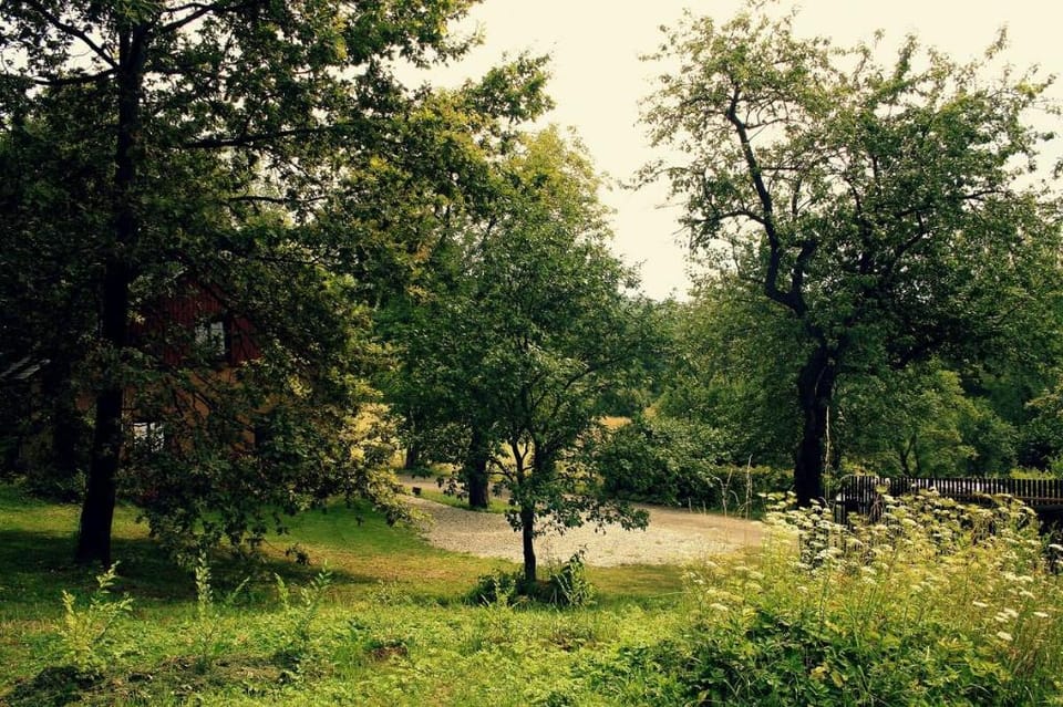 Chalupa Na Andělech Vacation rental in Lower Silesian Voivodeship
