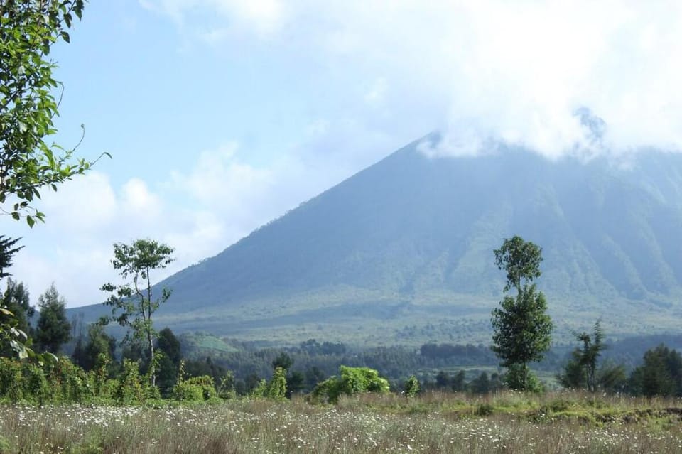 Under Volcanoes View Guest house Vacation rental in Africa