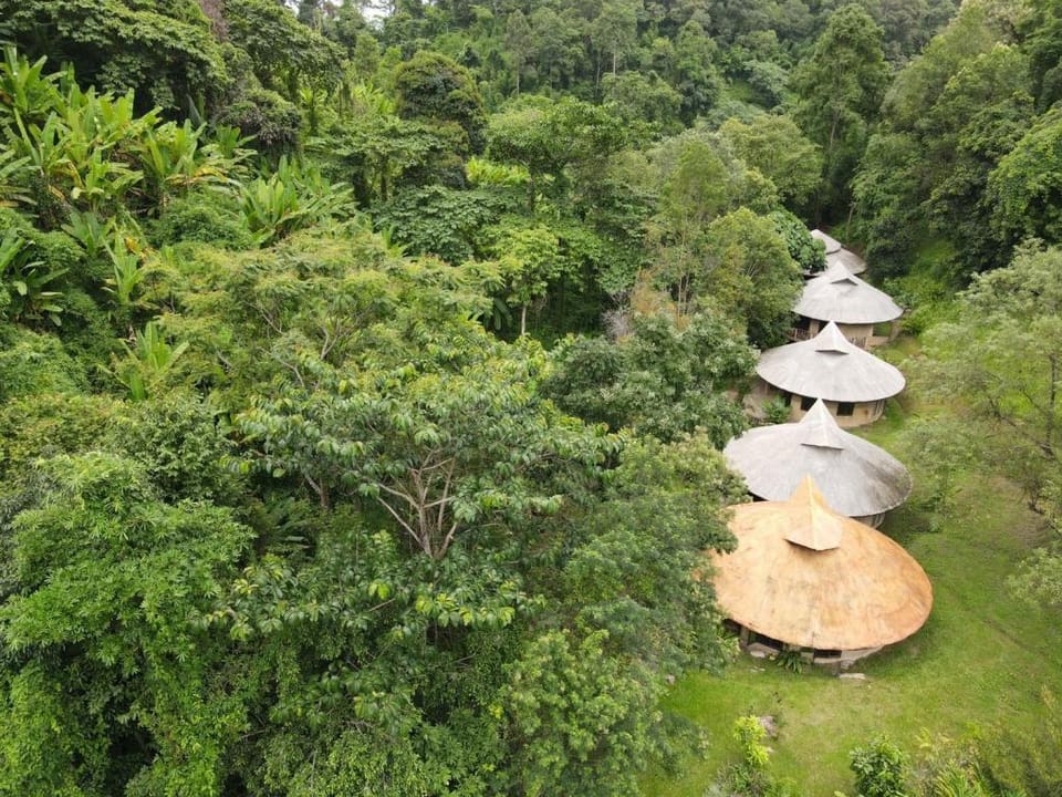 Forest Falls Garden Maerim Chiangmai Vacation rental in Thailand