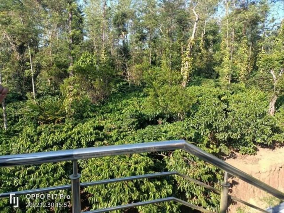 MistykodaguHome away from home Vacation rental in Kerala