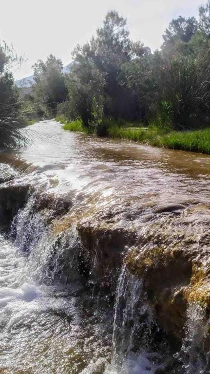 Casa Rural Río Chícamo Vacation rental in Vega Baja del Segura