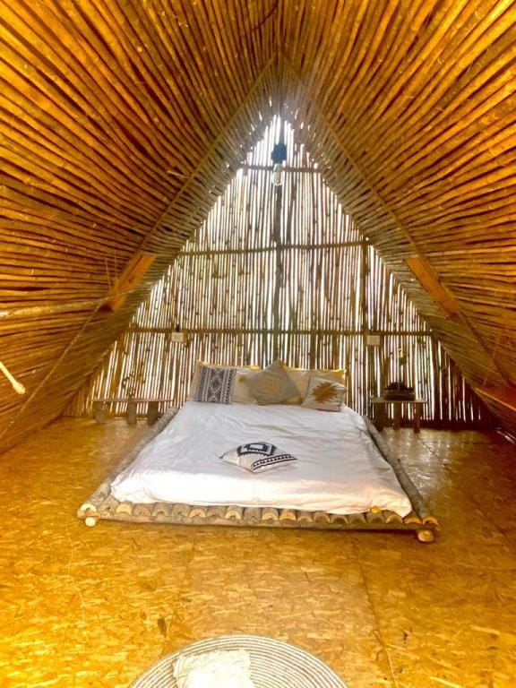 ECO Farm Room River Jungle view Vacation rental in Canacona