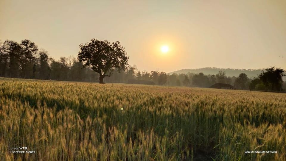 Sadhna sadan stay Villa in Uttar Pradesh
