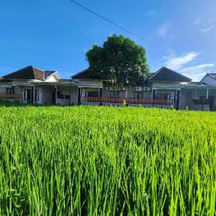 Homestay PUFA 1 Vacation rental in Special Region of Yogyakarta