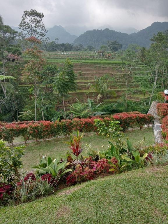 The dinarti Guest house Villa in West Java
