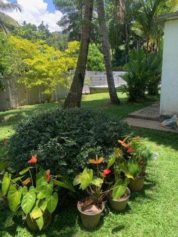 Healand Holiday Bungalow and Restaurant Bed and Breakfast in Southern Province