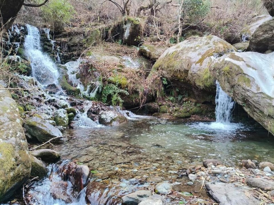 MudStays l Room 2 Vacation rental in Uttarakhand