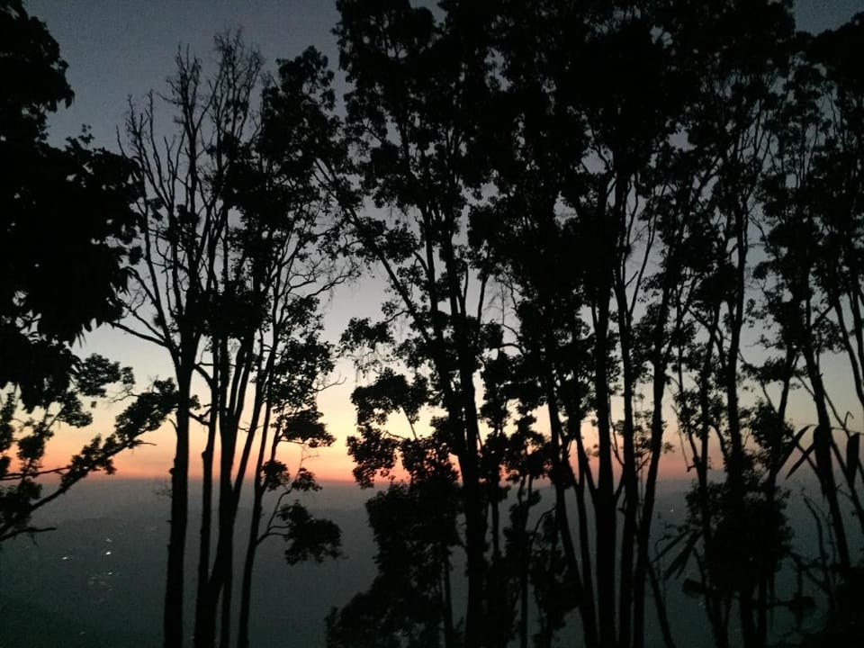 SWASTIKA HOMESTAYS  KURSEONG BAZAR, DARJEELING Vacation rental in West Bengal