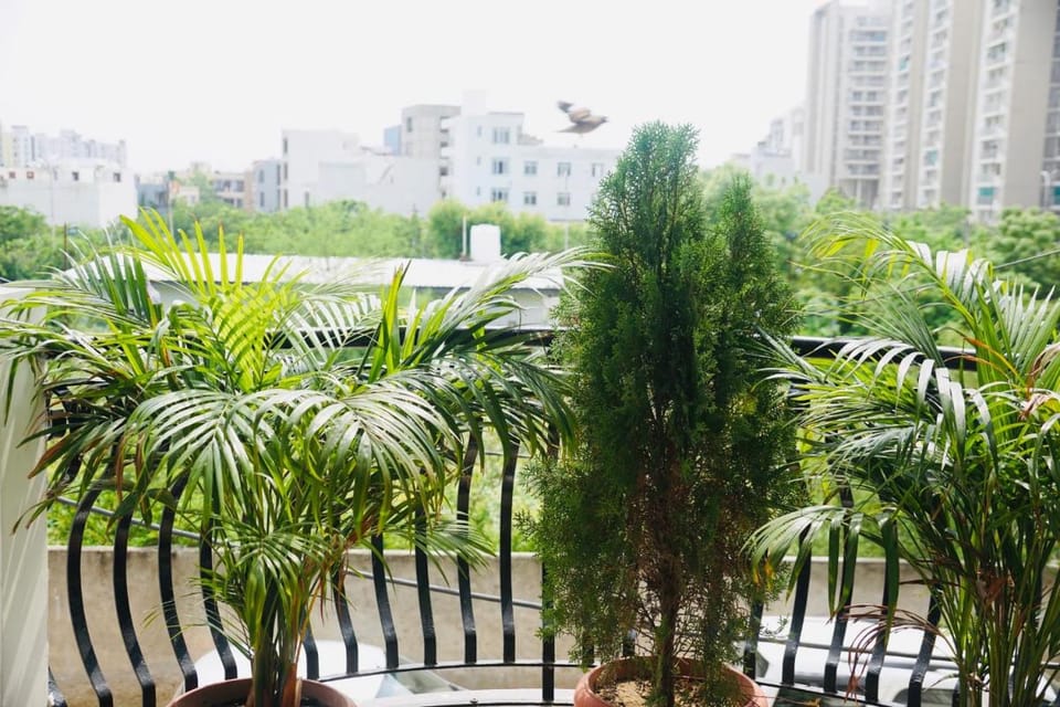 Hotel & BNB Solanki Residency Jaipur Apartment in Jaipur
