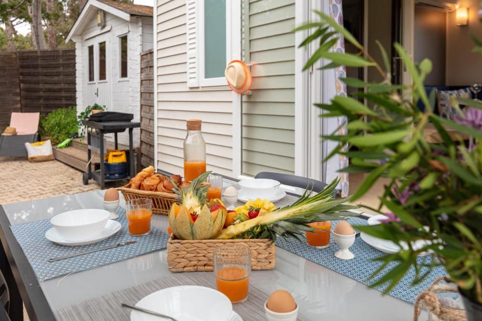 Le Mimosa, mobil-home climatisé au cœur du vignoble et à quelques mètres de la mer Vacation rental in Hyères