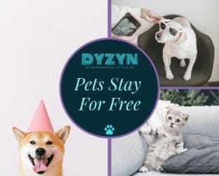 Dyzyn Living - By the Beach - Pet Friendly Apartment in Swansea