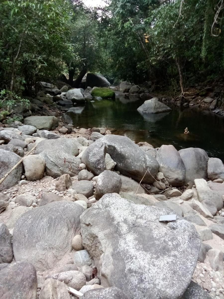 FOREST CASTLE HOMESTAY Vacation rental in Kerala
