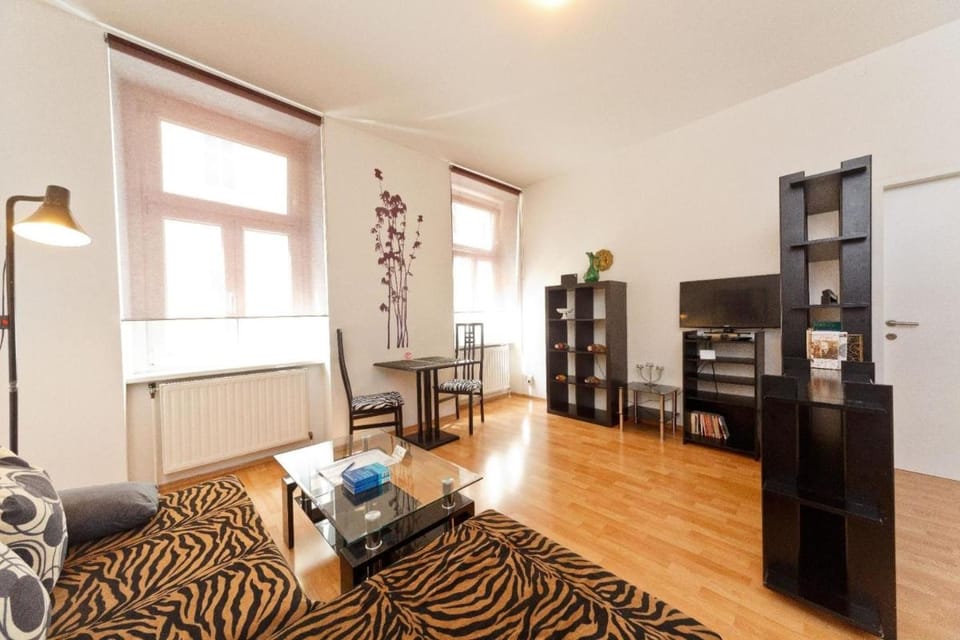 Apartment no. 4 near Vienna Schönbrunn/Westbahnhof Apartment in Vienna