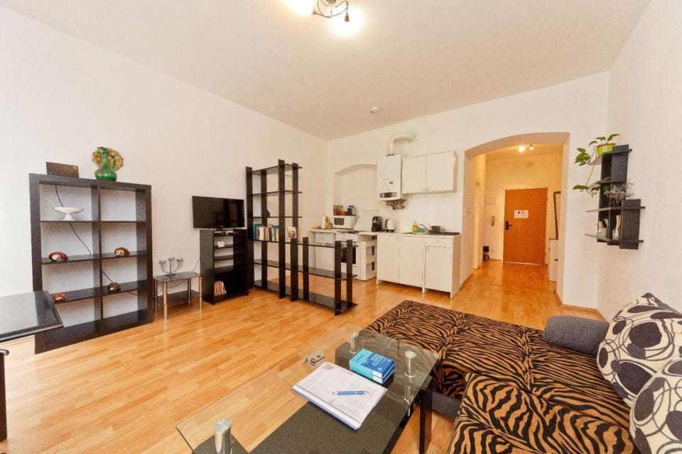 Apartment no. 4 near Vienna Schönbrunn/Westbahnhof Apartment in Vienna