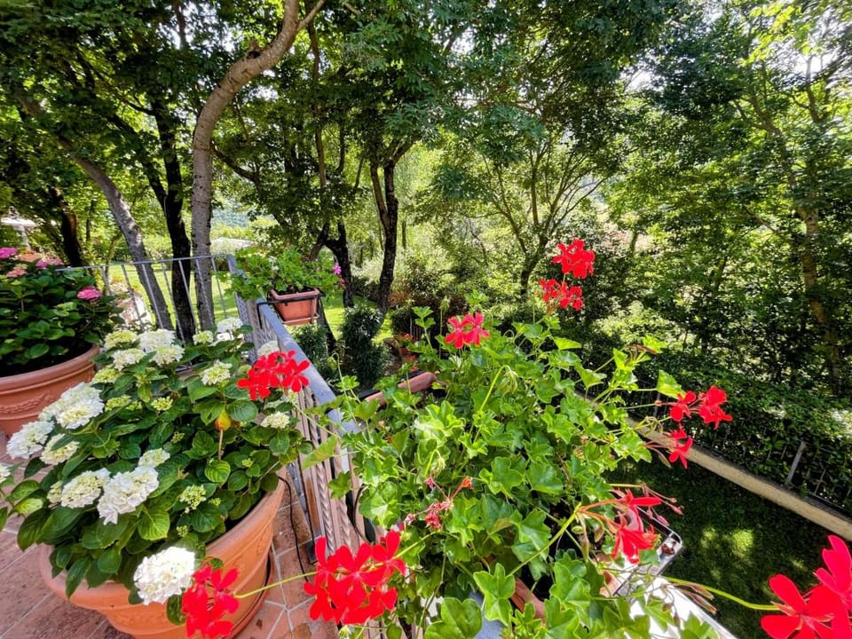 Vicolo - sleeps 5 with air con, wifi, balcony for dining and pool Vacation rental in Umbria