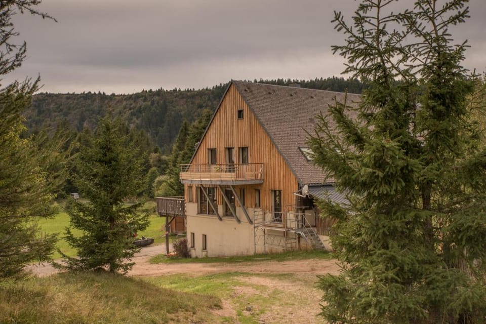 Terre de Sapins Apartment in Orbey
