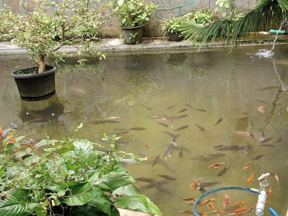 Rumah ASRI Bapak Suripto  Vacation rental in Indonesia
