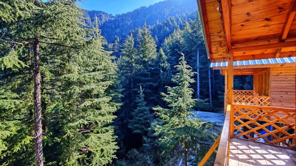 Mid Conifer Hotel in Himachal Pradesh