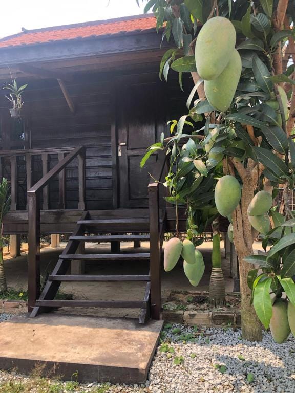 The Basket Homestay & disc golf course Vacation rental in Krong Siem Reap