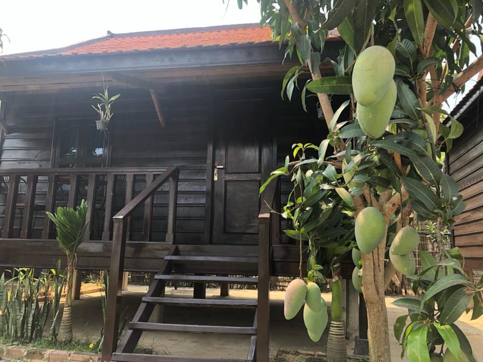 The Basket Homestay & disc golf course Vacation rental in Krong Siem Reap