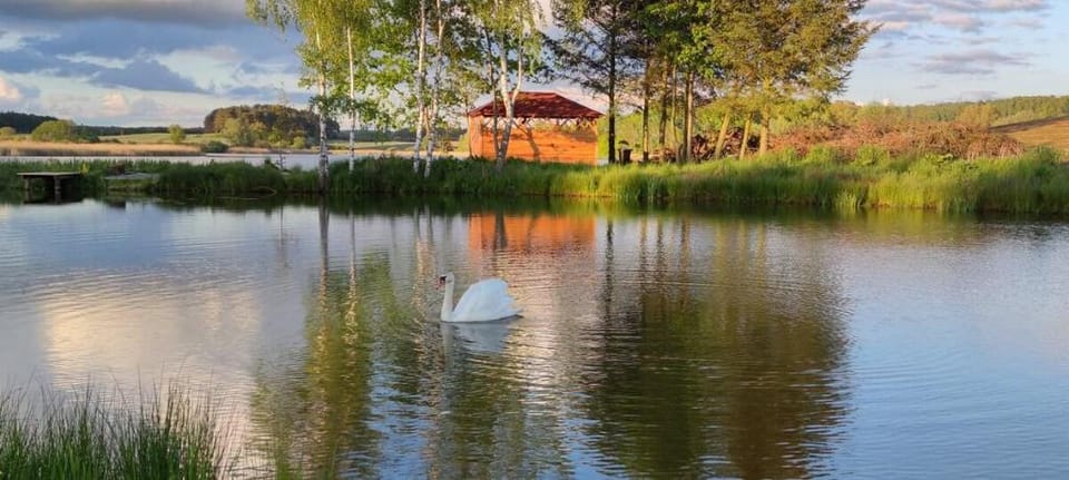 Uroczy dom nad jeziorem Vacation rental in West Pomeranian Voivodeship, Poland