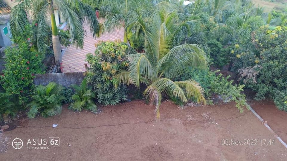 The Palms Resort (Dr.Bhoir farm) Vacation rental in Maharashtra